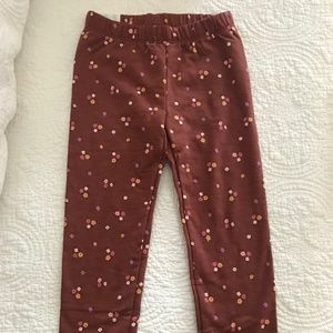 NWT size 6 pants